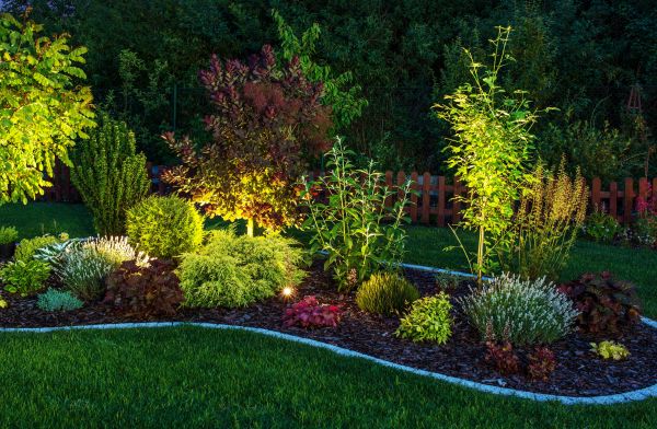 Professional landscaping design enhances curb appeal and can significantly increase the market value of your home.