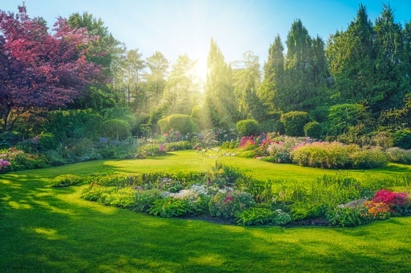 Landscaping Designing