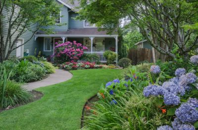 A Landscape Designer Can Upgrade Your Landscaping With Beautiful Trees and Shrubs!